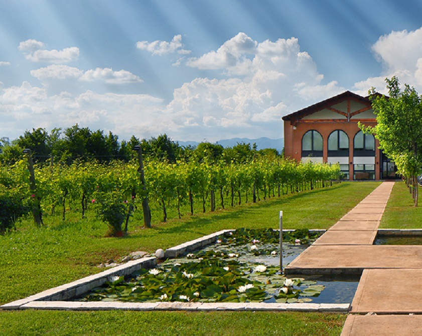 Bottega-Climatizzazione-Geotermica Bottega-Climatizzazione-Geotermica