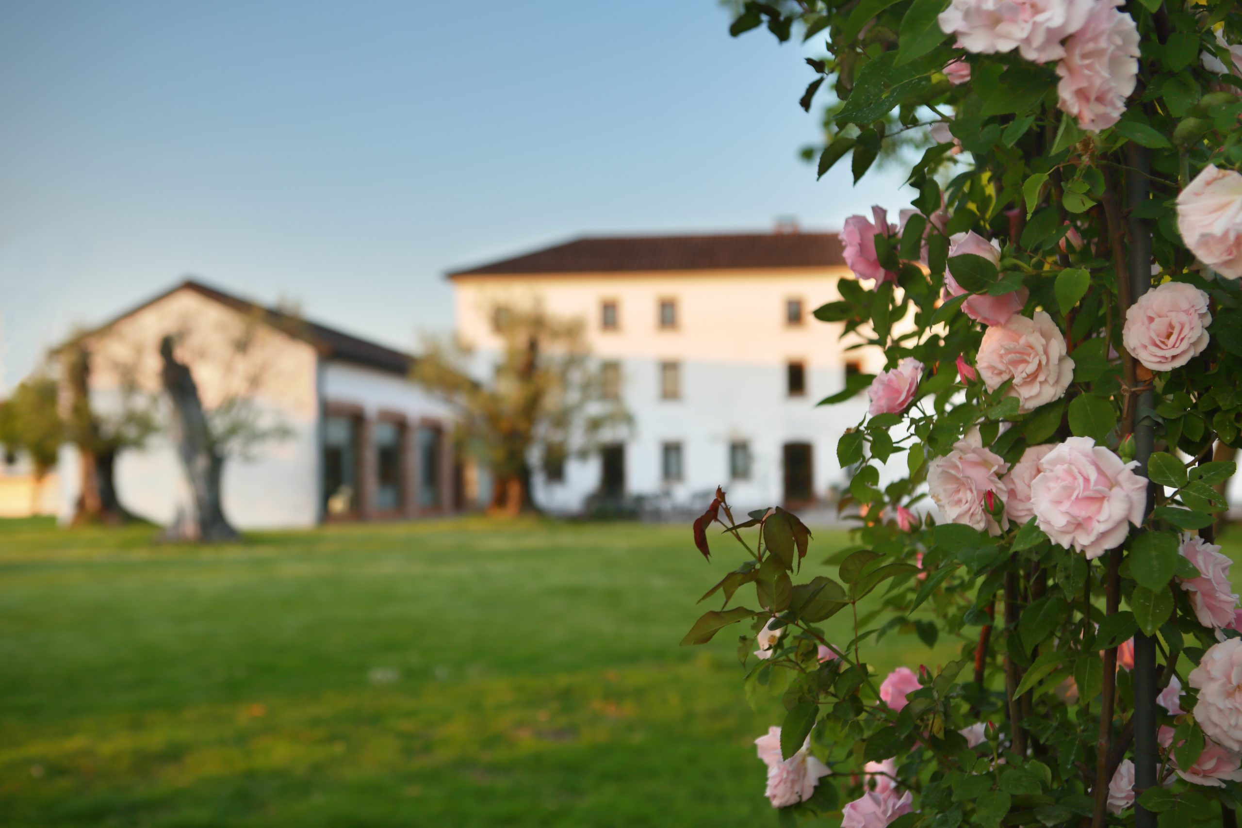 Bottega SpA — foto 3