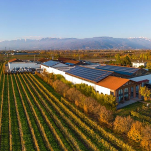 fotovoltaico-bibano impianto fotovoltaico sede Bottega a Bibano