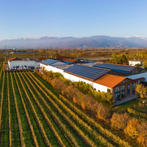 impianto fotovoltaico sede Bottega a Bibano