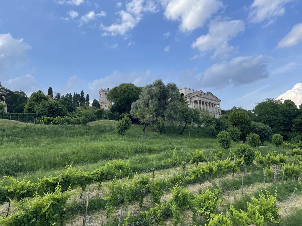 vigneti a villa gera