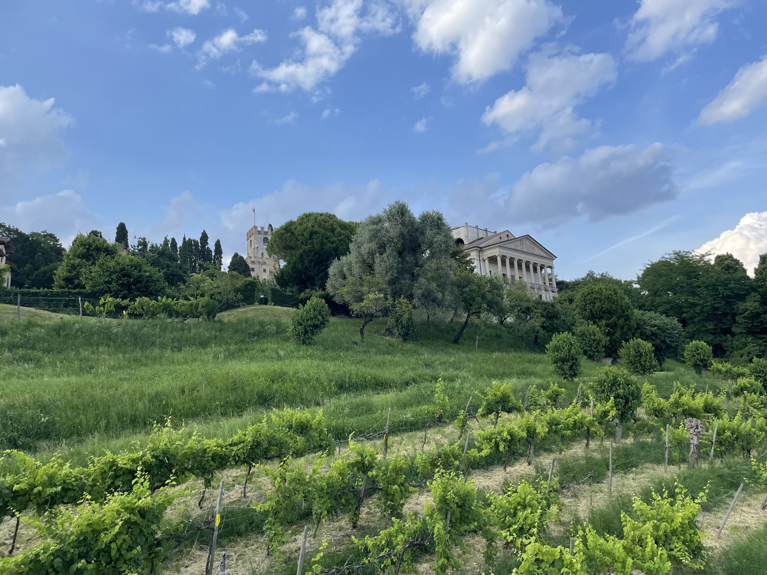Villa Gera Vineyard