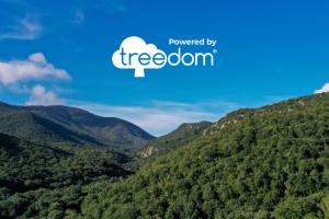 treedom - La Foresta Bottega La Foresta Bottega